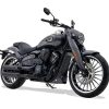 Rieju Coaster 407cc Gun